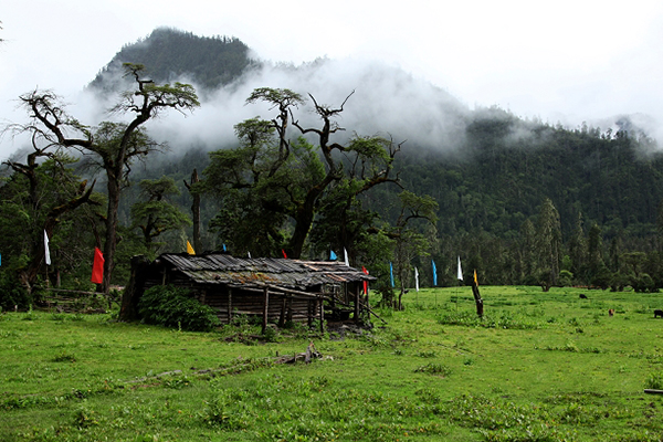 拉薩-羊湖-普姆雍錯(cuò)-納木錯(cuò)-林芝-巴松錯(cuò)-南伊溝-大峽谷-篝火7晚8日