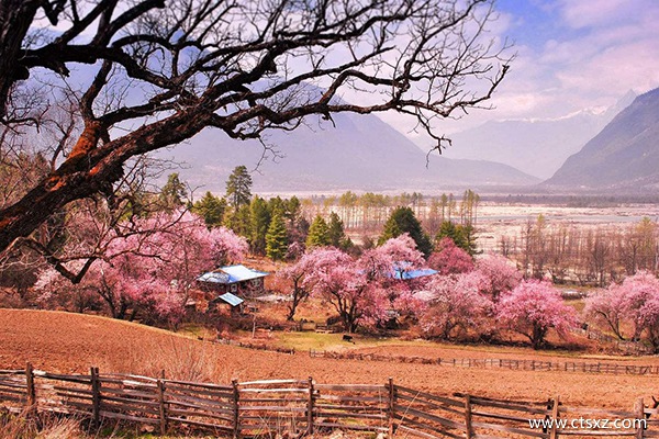 達(dá)州到拉薩旅游費用