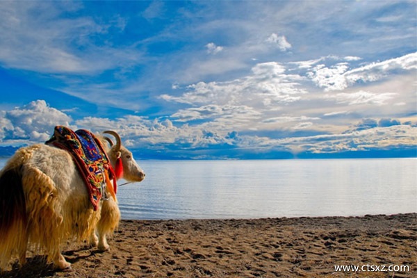 西藏8日游旅游費(fèi)用