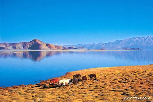 去西藏可以玩哪些景點(diǎn)