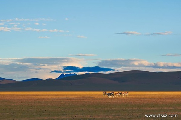 去拉薩坐哪趟火車(chē)風(fēng)景最好