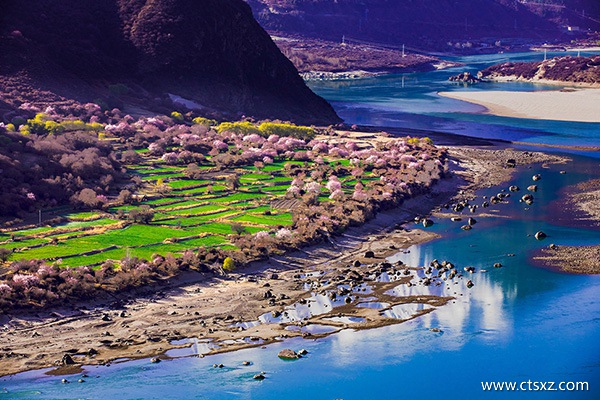 林芝桃花節(jié)線路攻略