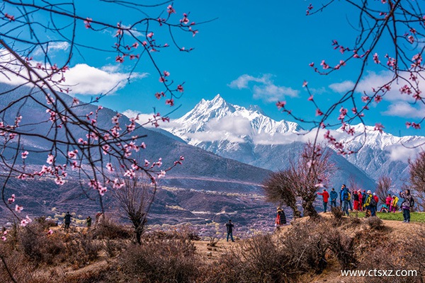 林芝桃花節(jié)路線攻略